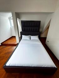 Serangoon Garden Estate (D19), Terrace #460222671